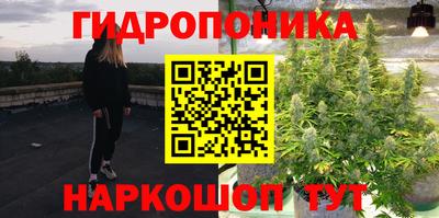 a pvp Лесосибирск