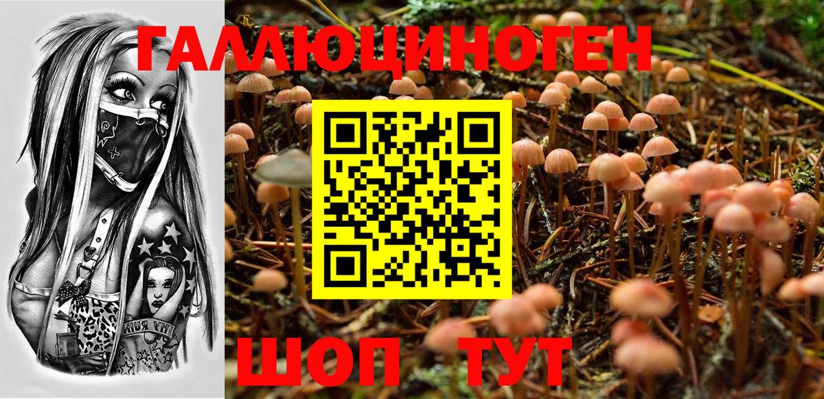 Зеленогорск  Псилоцибиновые грибы ЛСД  Вход с VPN  Галлюциногенные грибы прущие грибы 